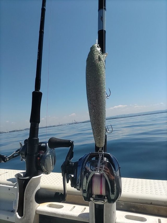 アピア シーバスロッド グランデージ メガソウル C73H+(ベイト 2ピース