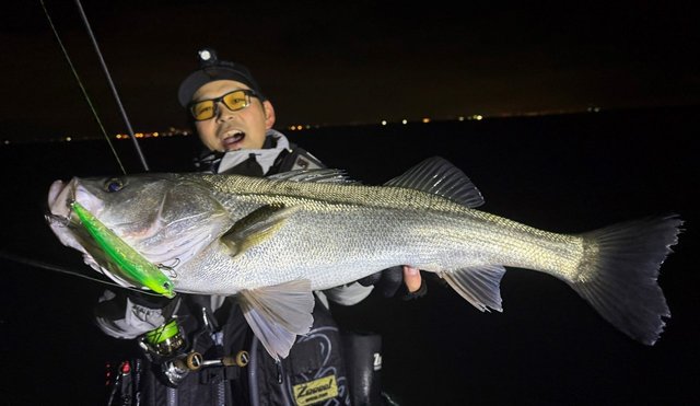 ダイワ シーバスロッド モアザン 90MLM・J(2ピース)(90MLM): 竿｜釣具