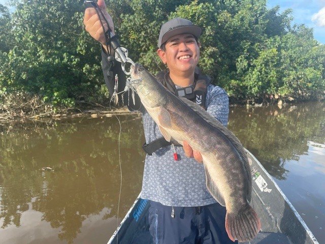 モンスターキス DearMonster ディアモンスター MX-6+: 竿｜釣具の通販