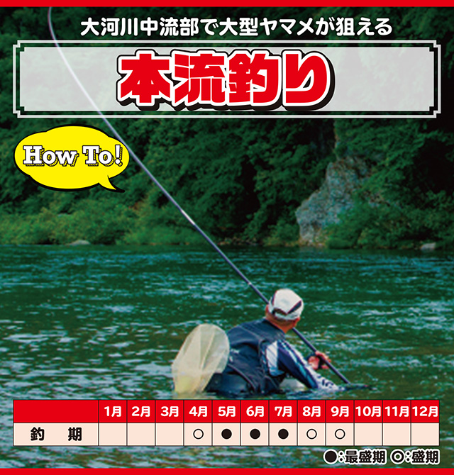 ヤマメ】渓流_本流釣り - HOW TO [釣具のキャスティング]