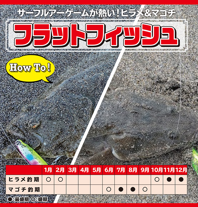 ヒラメ・マゴチ】フラットフィッシュ サーフルアーゲーム - HOW TO