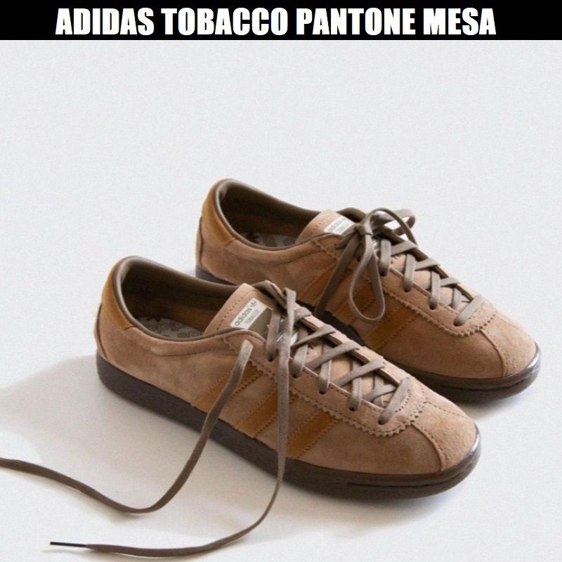 ADIDAS] スニーカー タバコTOBACCOブラウン 22cm~28cm (adidas