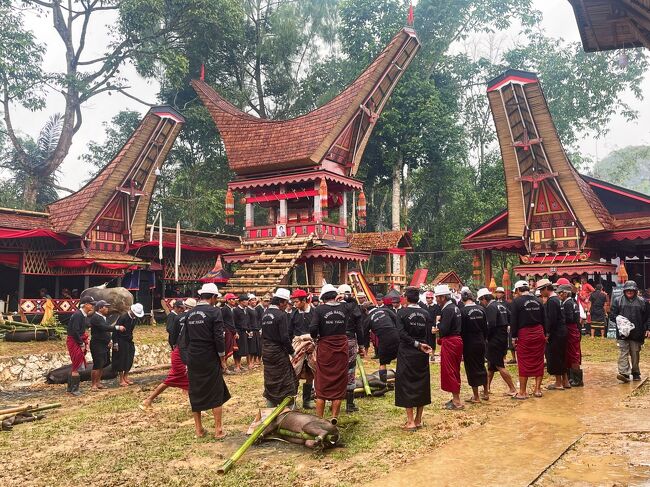 インドネシアの秘境タナトラジャへの旅【4】死ぬために生きる人々