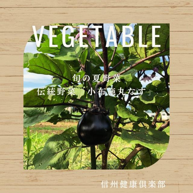 携帯用「命慧 しらべ くきみ」〜生体エネルギー応用商品〜の信州健康倶楽部