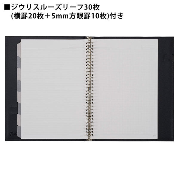 マルマン ジウリス バインダー A4 30穴 ブラック F988B-05 1冊 - アスクル