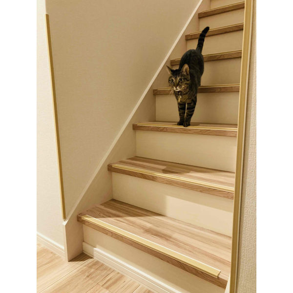 アシスト マルメッティ 階段滑り止め L670 ミスト 13-M67MT 1箱（15本