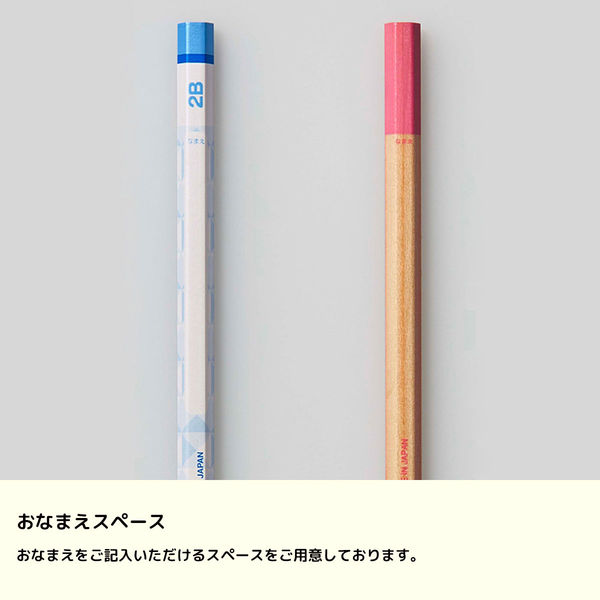 三菱鉛筆 ナノダイヤ鉛筆6901 NDST 青 B K6901B 1個（12本） - アスクル