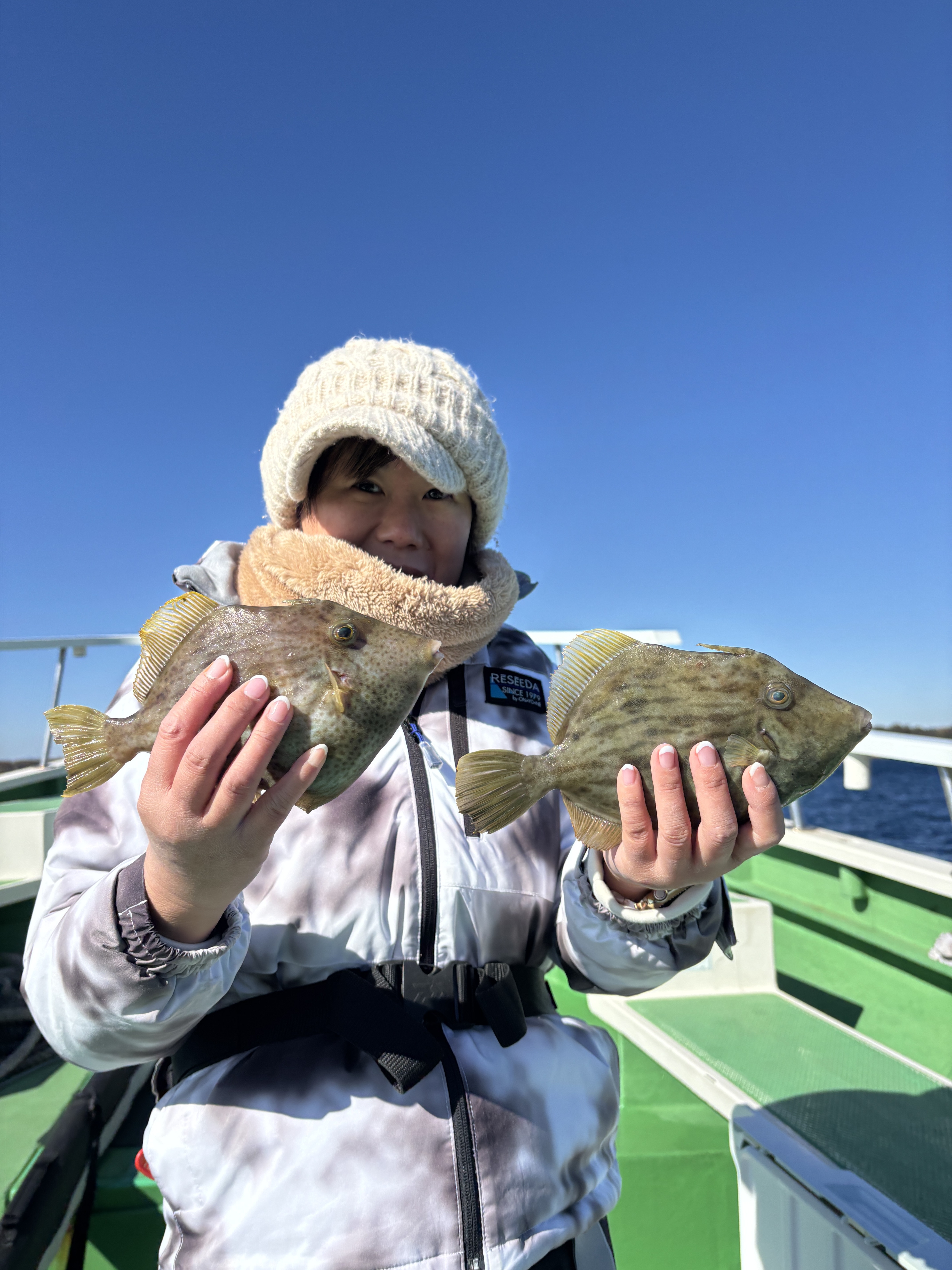 鈴清丸（すずきよまる）松輪・剣崎