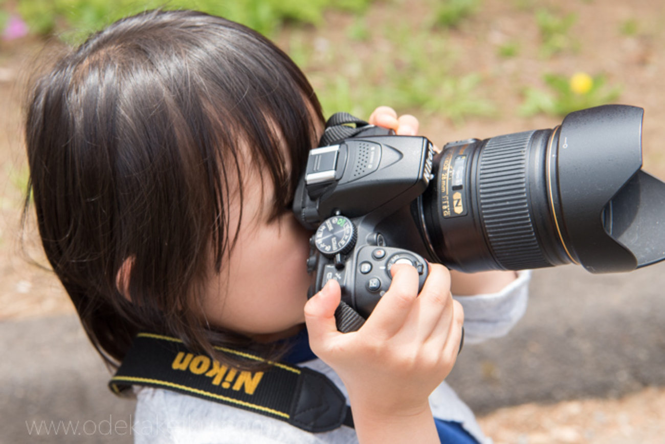 backend=imagemagick;version=1;