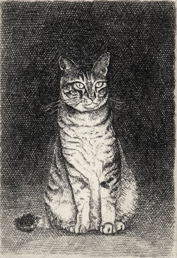 猫 ・2014 / 銅版画 (作品のみ） | iichi 日々の暮らしを心地よくする