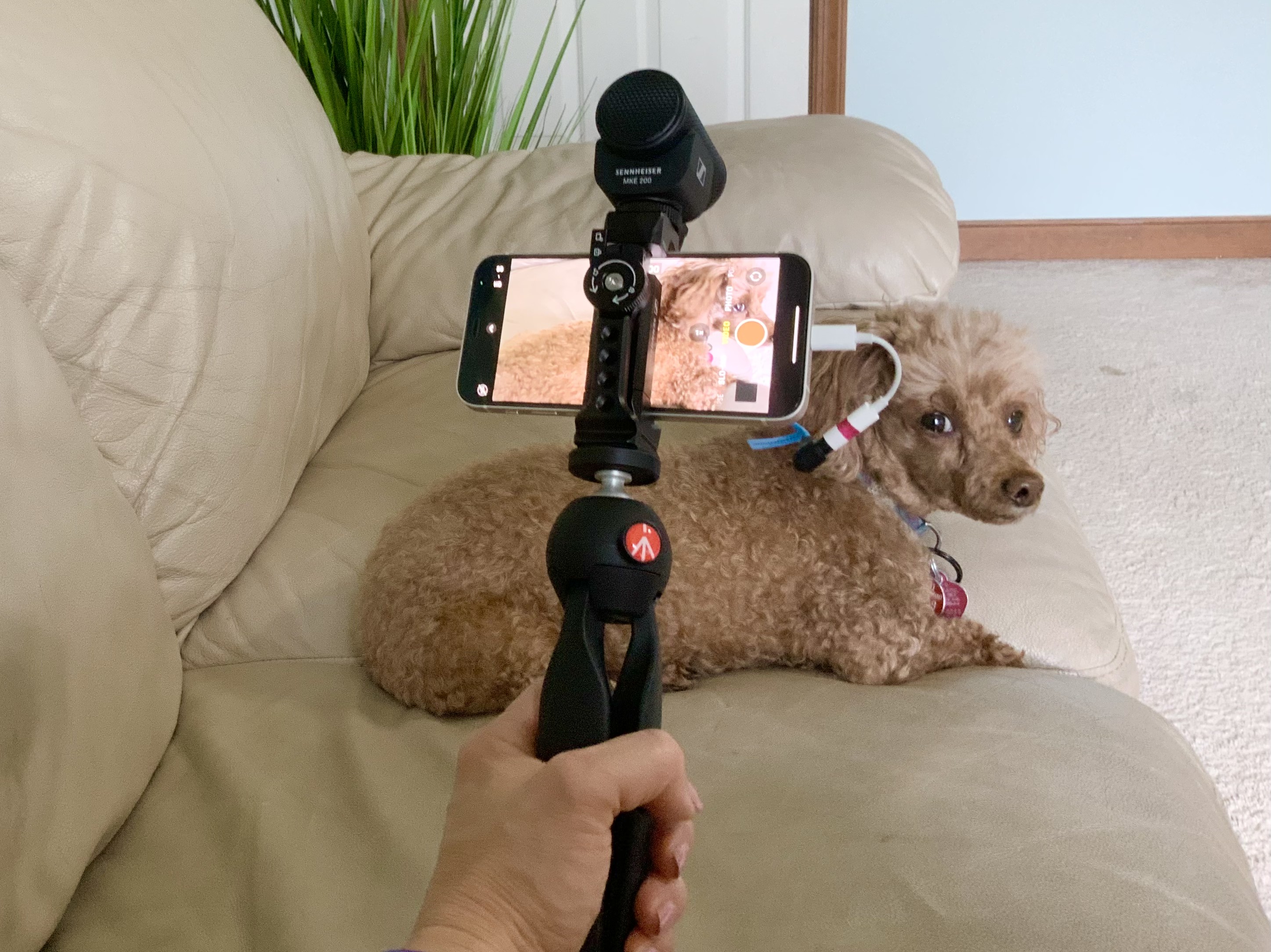 Sennheiser MKE 200 Mobile Kit review: Get pro audio on your iPhone