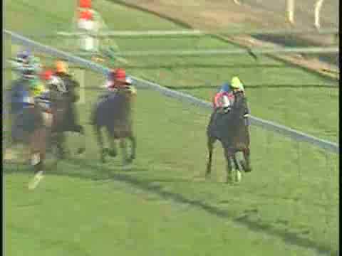 ジャパンカップ レース結果 | 1997年11月23日 東京10R - netkeiba