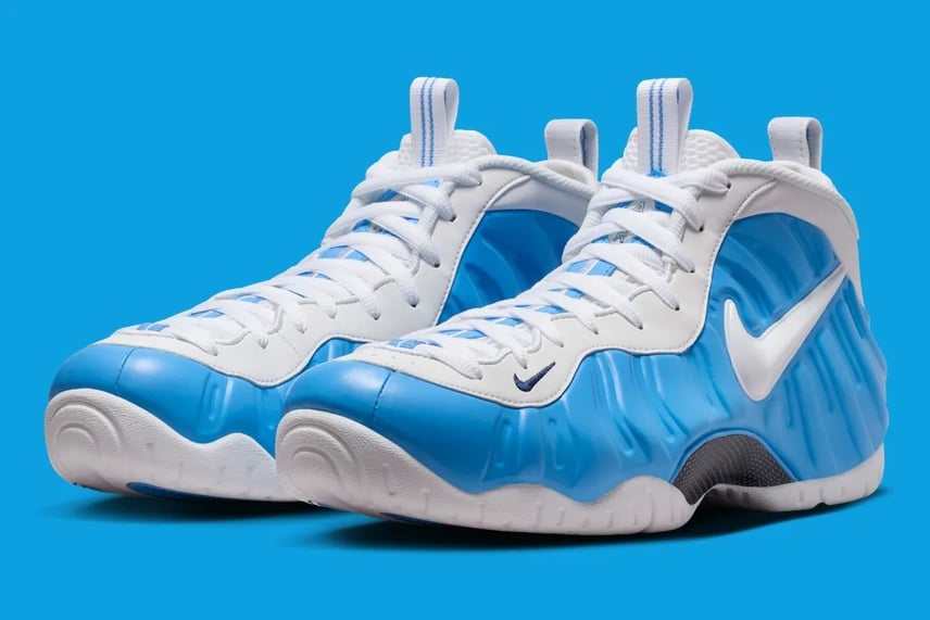 ナイキ エアフォームポジット (NIKE Air Foamposite) の新作・中古通販