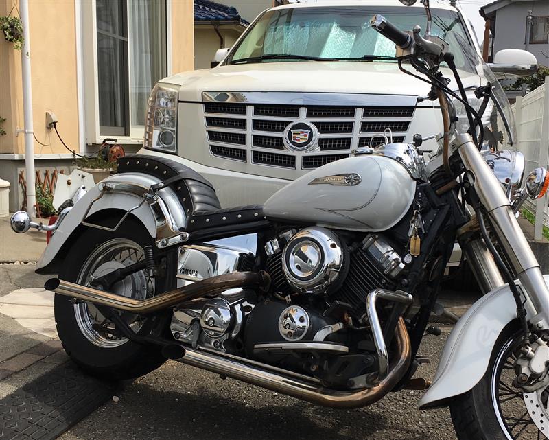 イージーライダース スタッド付コブラシート のパーツレビュー