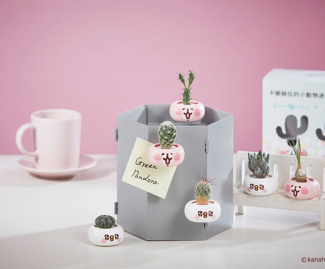 台湾 カナヘイの生き物ミニマグネット鉢植え植物/癒しの多肉植物/ミニ