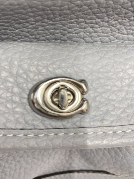 COACH(コーチ) / リア バックパック21 カラーブロック/リュック/レザー