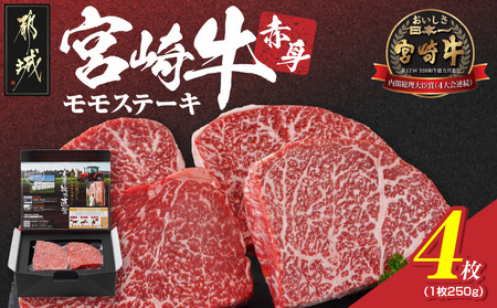 使用不可※スノーピーク×羅臼町 知床羅臼オリジナルチタンマグ300 1個