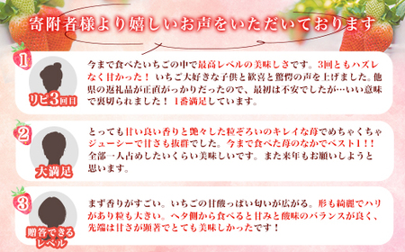 群馬県やよいひめ（いちご）約1.6kg【3年連続金賞受賞！】 | 群馬県