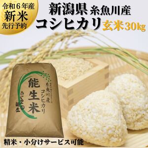 米 新米【令和6年産 新米】新潟県産コシヒカリ 玄米 30kg 令和6年産