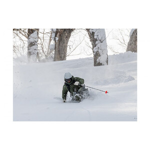 VECTOR GLIDE】スキー板 OMNNY BK 170cm スキー ウィンタースポーツ