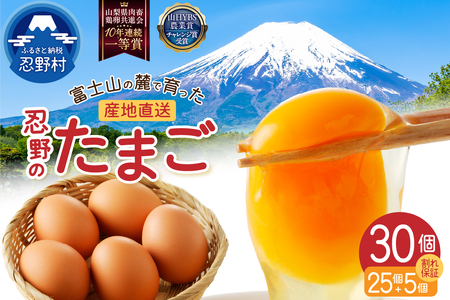 富士山の麓で育った産地直送 ”忍野の卵”※卵25個+割れ保証5個 計30個