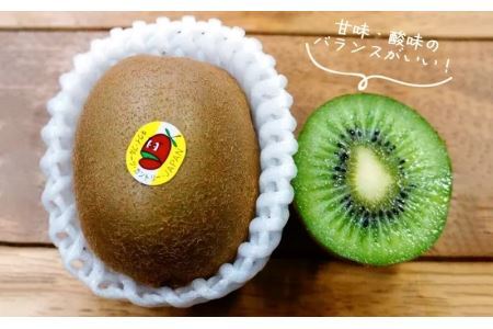 グリーンキウイ 18～20個 国産キウイ 6646 | 静岡県掛川市 | ふるさと