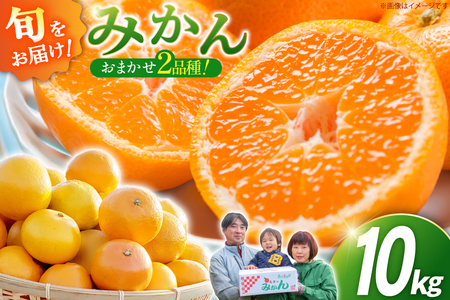 CC003 森崎果樹園のこだわり旬のみかんセット 10kg [ 長崎県 島原市