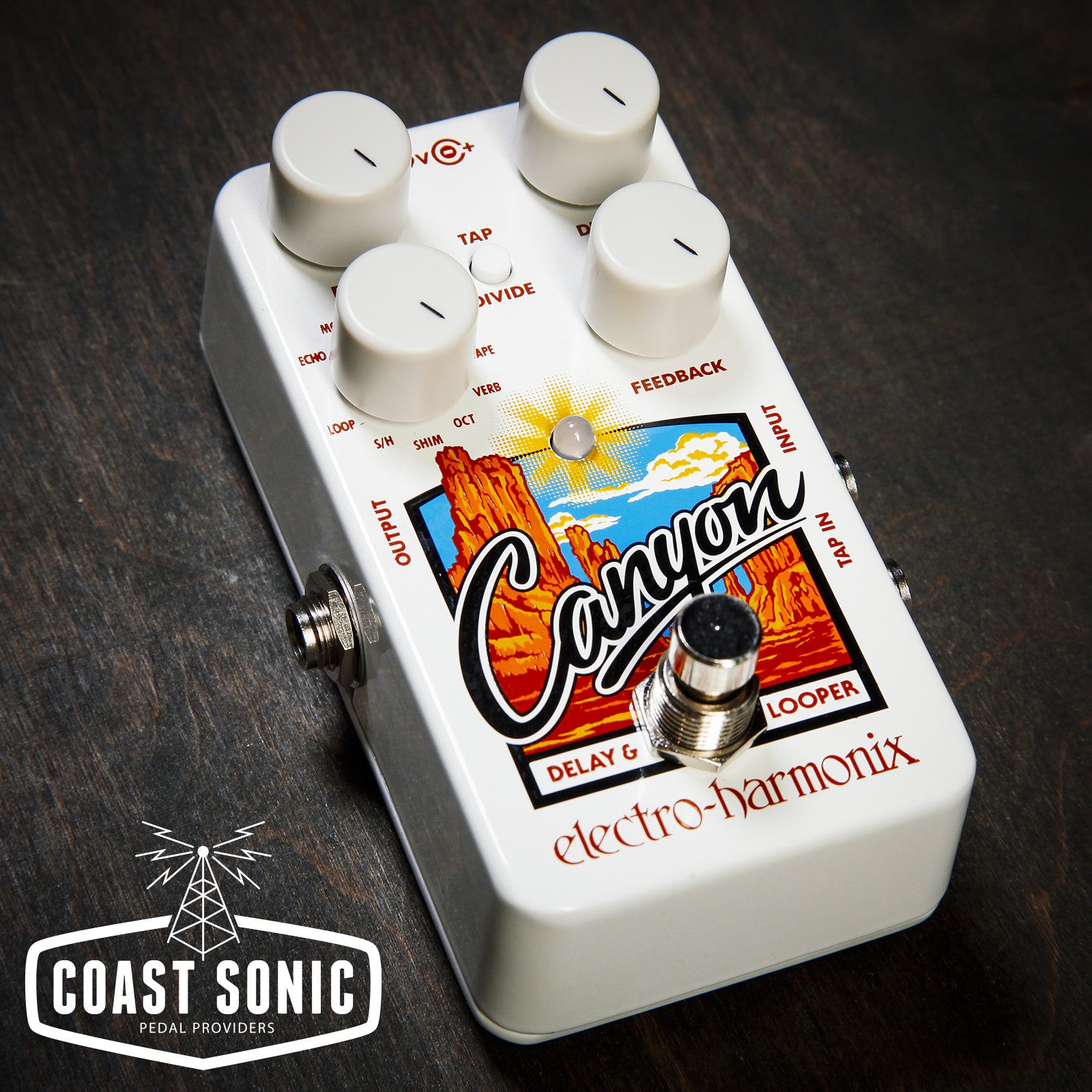 Electro-Harmonix Canyon Delay & Looper