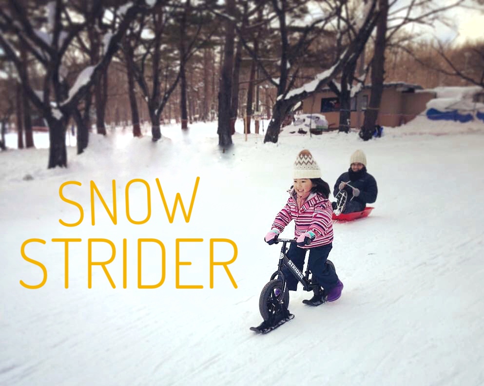 STRIDER】スキーアタッチメント再入荷 & 14X 入荷しました。 | CLAMP