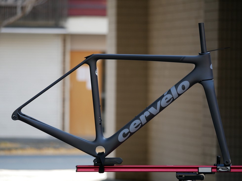 サイクルショップカンザキ千里店 / 【在庫特価】R5 Disc フレームセット