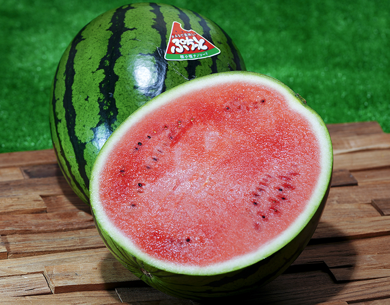 新品種ナノシードすいか タネまで美味しい「ぷちっと」千葉県産 1玉