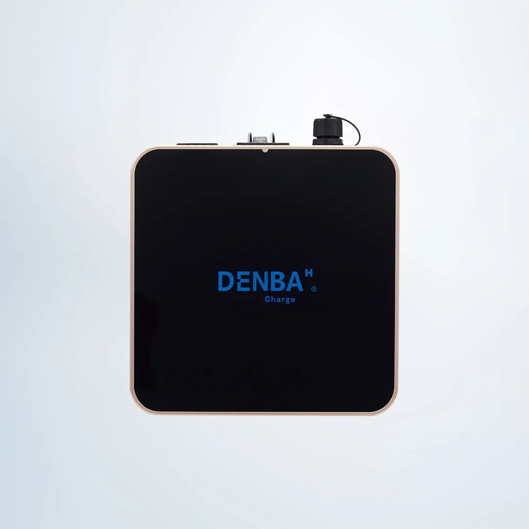 DENBA Health 電位空間マット｜DENBA Health