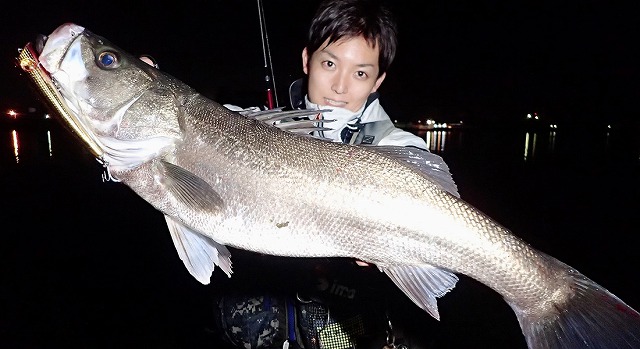 Fishman（フィッシュマン）BRIST（ブリスト）comodo（コモド）7.5H