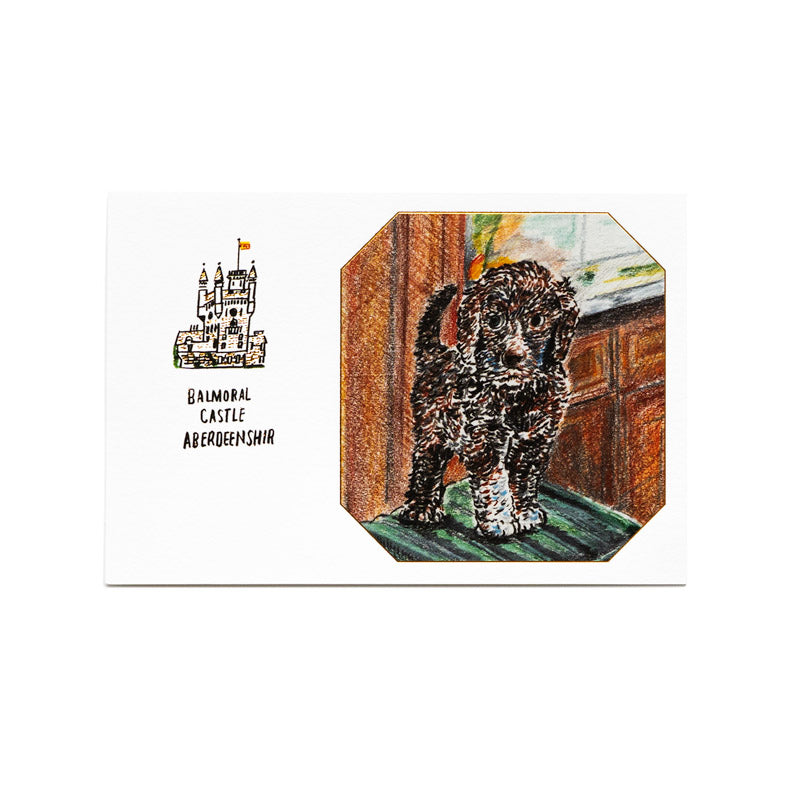 ポストカード 多目的「イギリスのイヌ」 | D-BROS