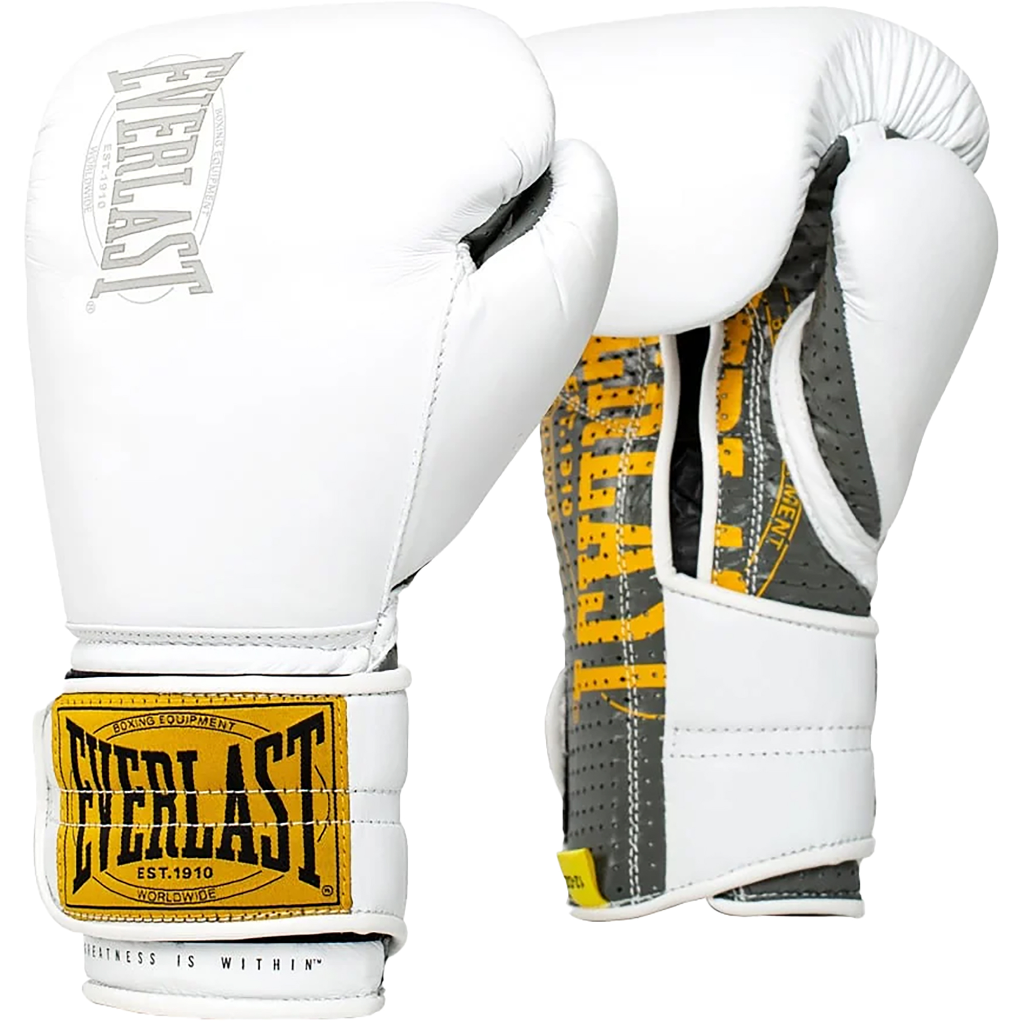 Everlast 1910 Pro Hook and Loop Sparring Boxing Gloves | eBay