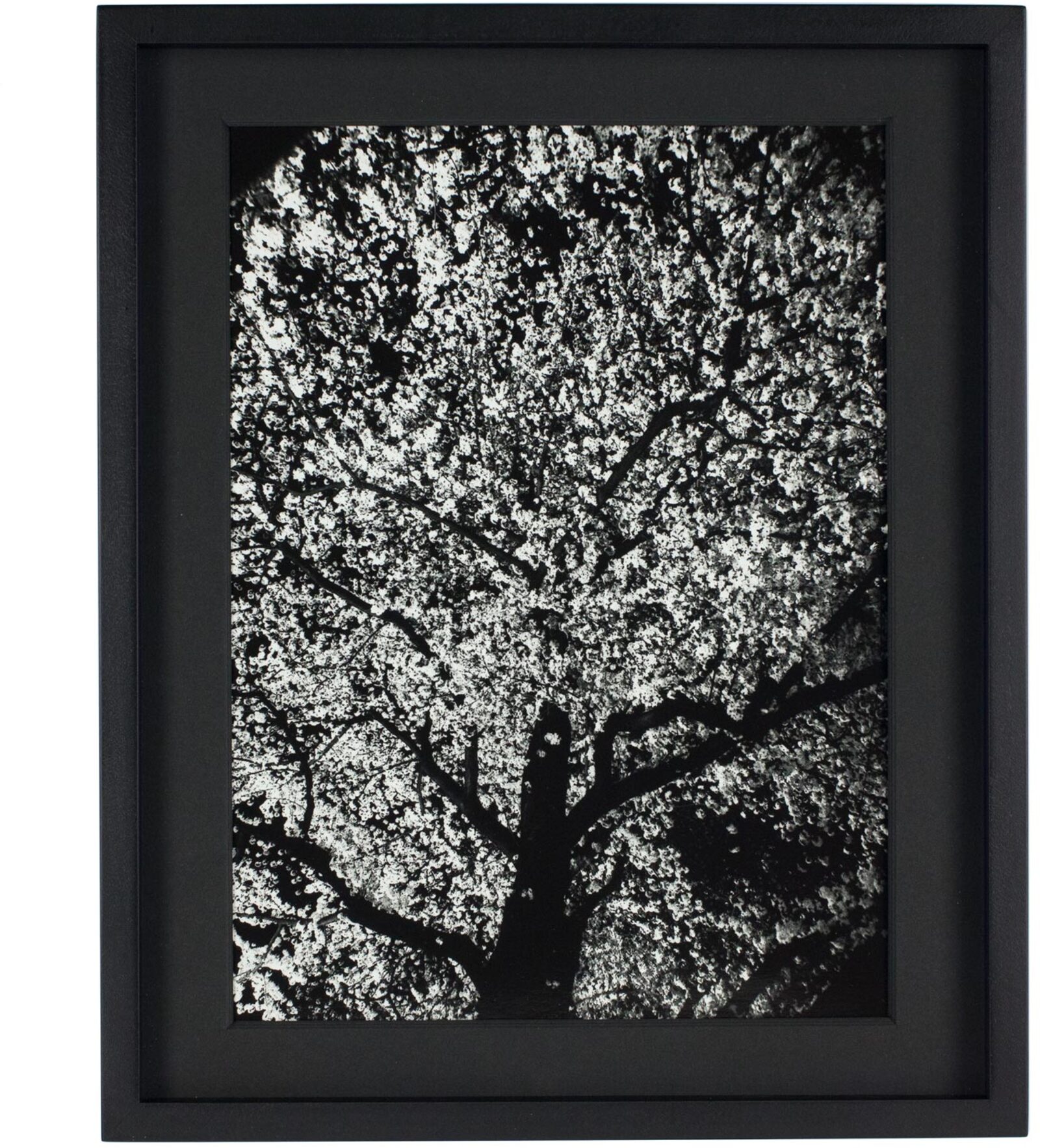 1 - 森山大道 | shashasha 写々者 - 写真集とアートブック