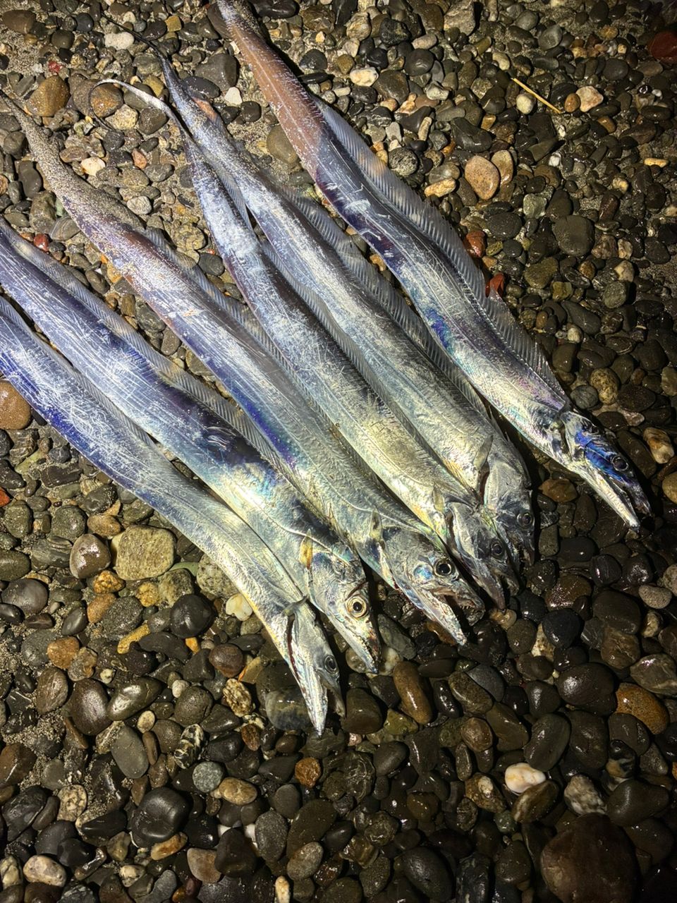 SHIMANO 18ネッサ リミテッド S104MHの最安値・インプレ・釣果 | 本音