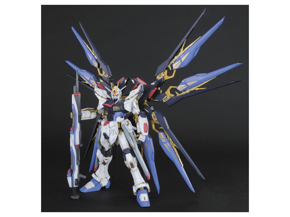 PG 1/60 ストライクフリーダムガンダム 素組 ジャンク ガンダムSEED