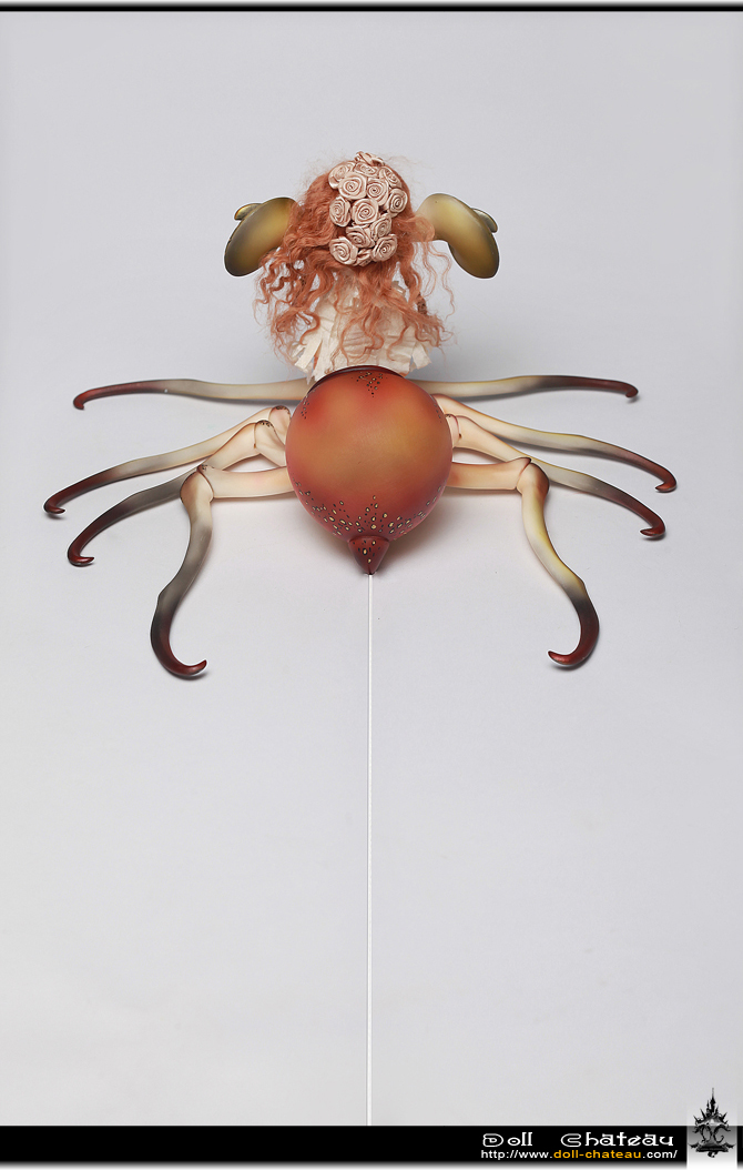 DOLK×Doll Chateau 特別再販】Xaviera A Fullset｜DOLK（ドルク）