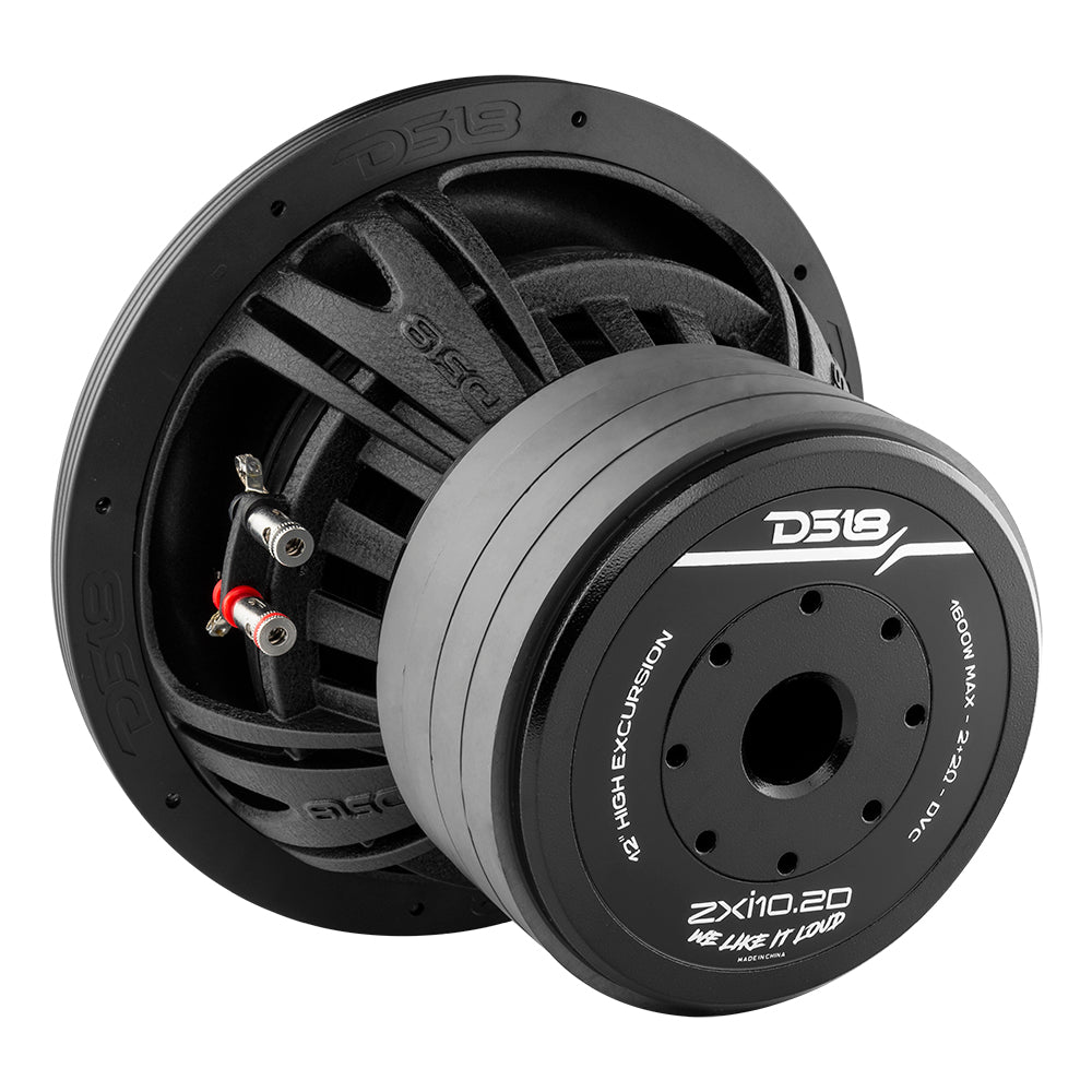 DS18 ZXI10.2D High Excursion 10