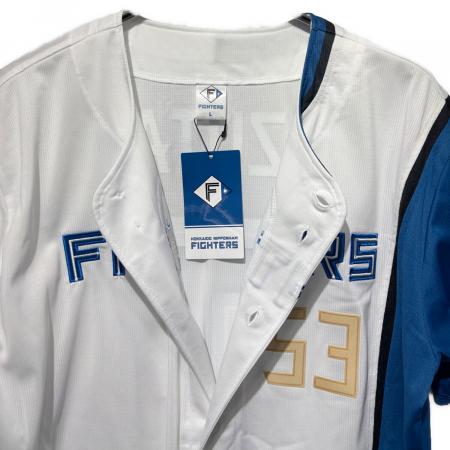 北海道日本ハムファイターズ (ホッカイドウニッポンハムファイターズ