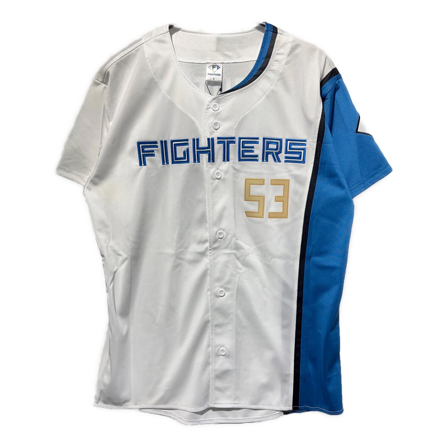 北海道日本ハムファイターズ (ホッカイドウニッポンハムファイターズ