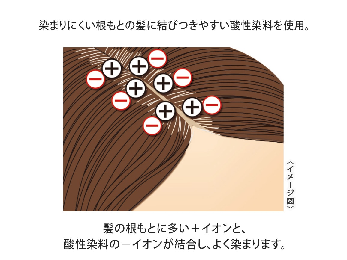 定期おトク便」ハルメク ヘアマニキュアトリートメント 2本組ソフト