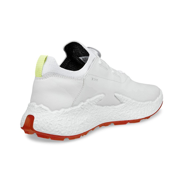 ECCO GOLF エコーゴルフ]ウィメンズ BIOM H5 BOA ゴルフシューズ EU37