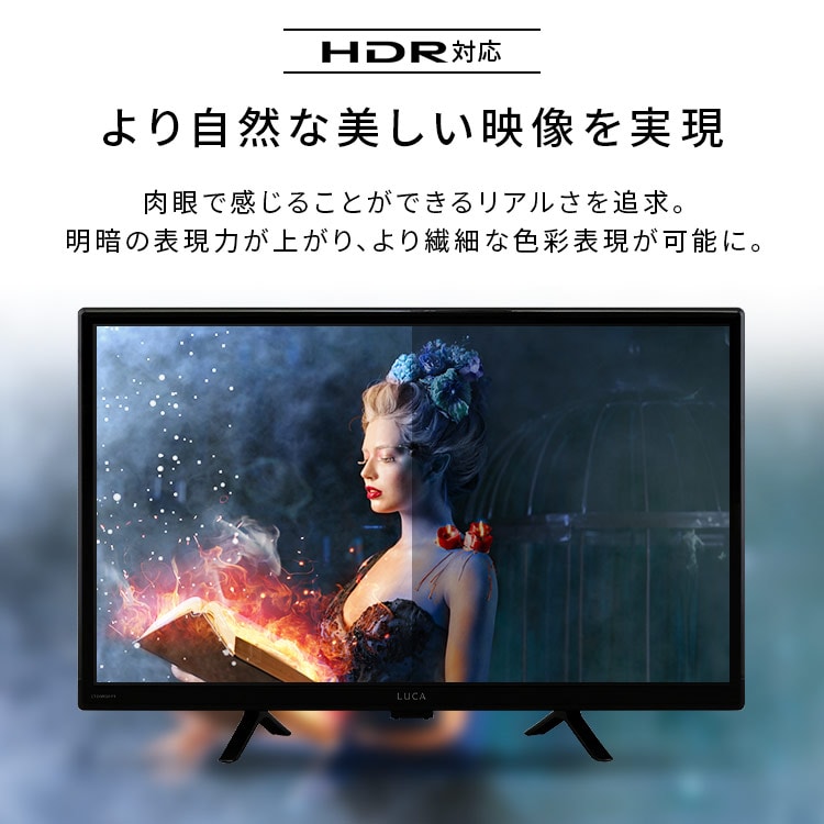 公式］テレビ 24V型 Google チューナーレスTV LTL-24WG-F1 ブラック