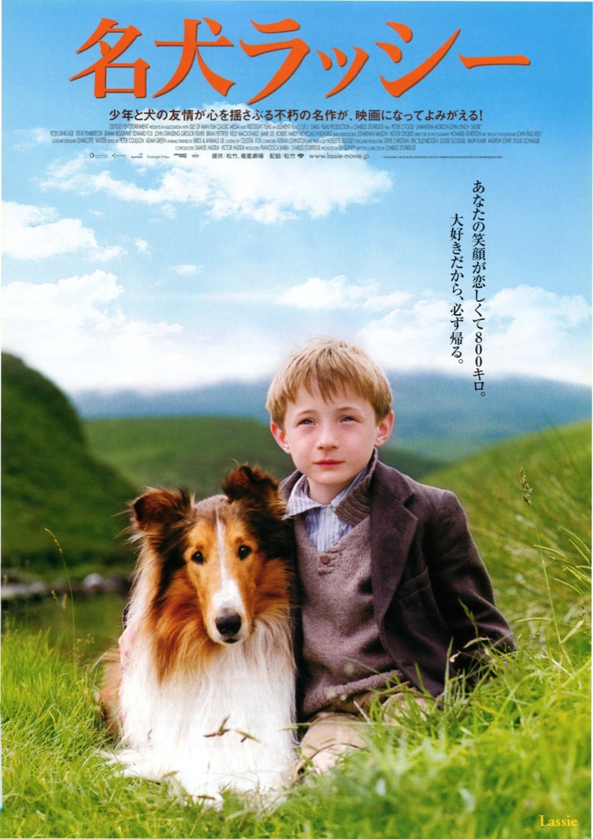映画チラシサイト：名犬ラッシー