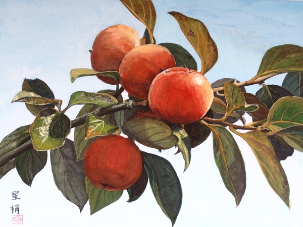 柿」 by 半田 こずえ｜Artmeter｜暮らしを彩るアートが、きっと見つかる