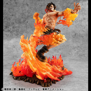 Portrait.Of.Pirates: ONE PIECE 