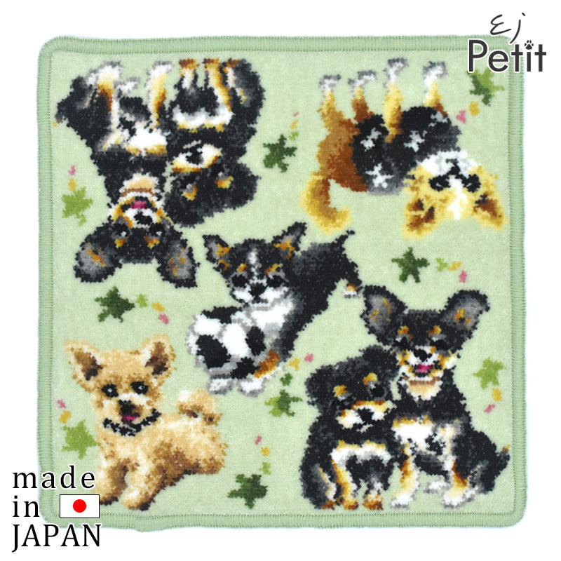 日本製 チワワ チワプー シェニール織 ハンカチ 23cm EjPetit pairs