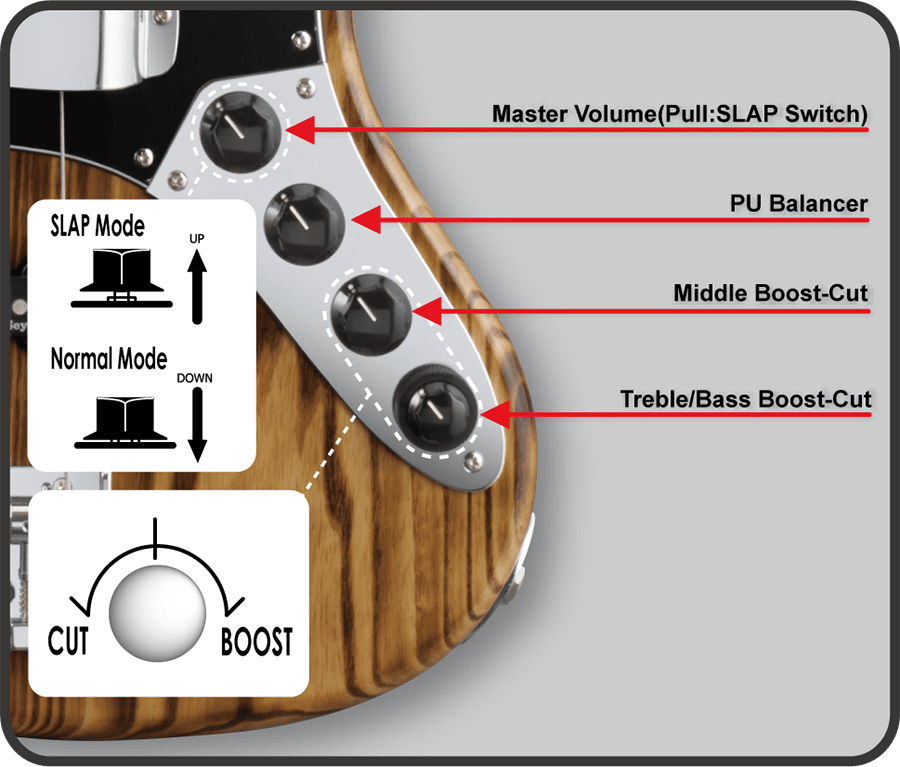 E-AM-155AS/M | ESP GUITARS